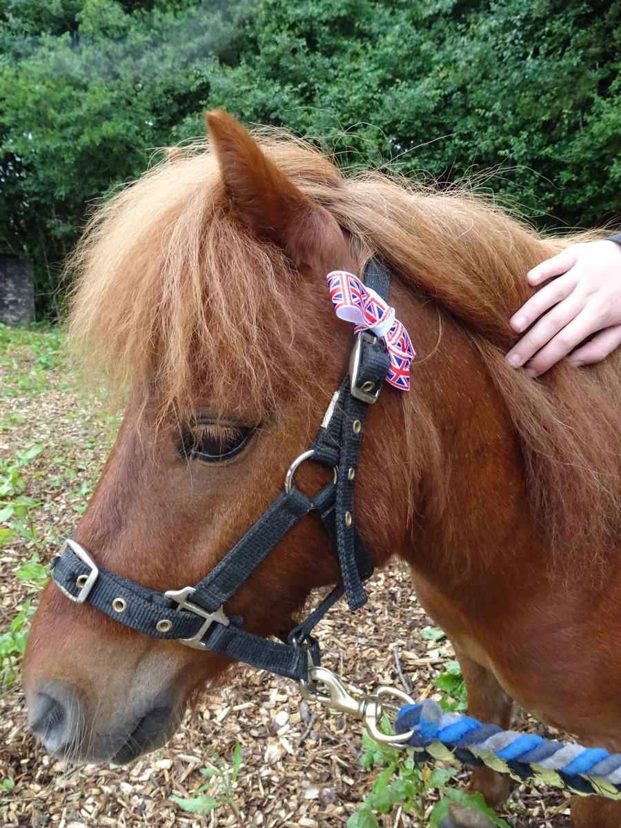 #JubileeCelebrations #JubileeWeekend We had a brilliant open afternoon - the weather was kind, the ponies were super, the volunteers amazing and the visitors were lovely :-) #ponyhour Starring Remy, Hettie and Hector (Percy, Shakira and Evie also joined in the fun)