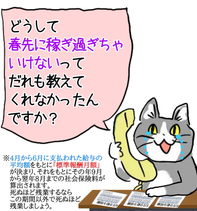 春先に死ぬほど残業代稼いだサラリーマンはいないよなぁ?! #現場猫 