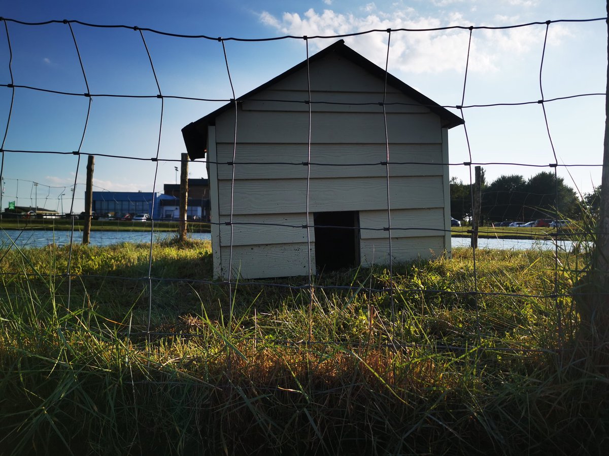 Duck House finished that me and Cameron built for the island on Dovercourt boating lake. <a href="/EssexWildlife/">Essex Wildlife Trust</a> <a href="/ClactonKayaks/">Clacton Kayaks</a> <a href="/VisitEssex/">Visit Essex</a> hoping this will save the egg's /ducking from getting eaten.