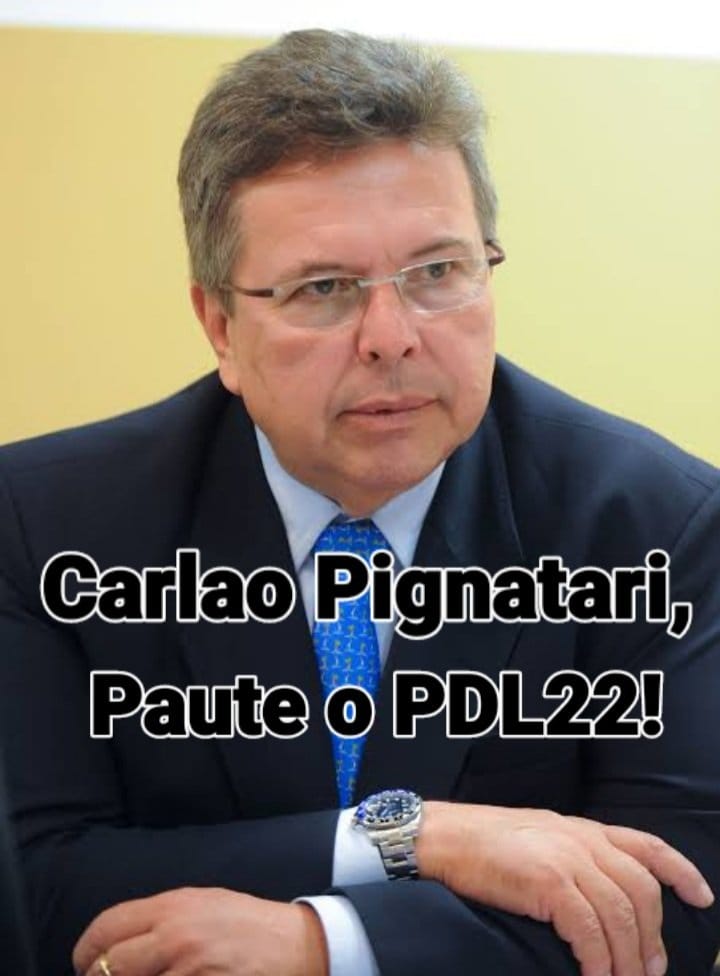 Ana Cláudia Rodolfo🚩🇧🇷❤ PDL22 LUTA tweet media