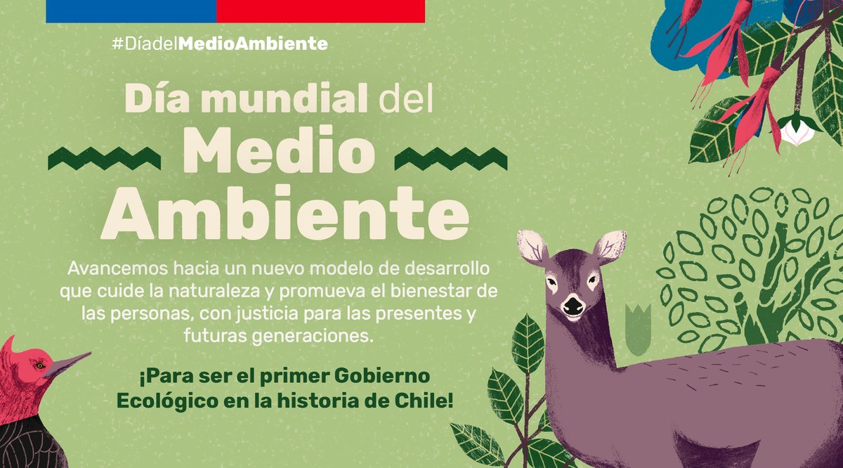 ¡Queremos ser el primer Gobierno Ecológico de Chile! La Ley Marco de Cambio Climático es una herramienta para que Chile y sus servicios cumplan con el compromiso de convertirse en carbono neutral y resiliente al clima a más tardar al 2050. 

#DiaMundialDelMedioAmbiente