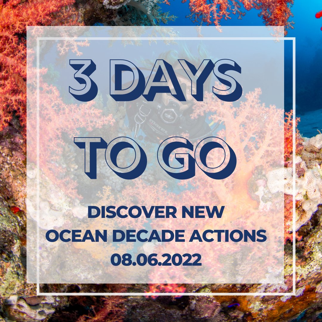 UNOceanDecade's tweet image. Stay tuned! 📲📺📻

📣 We&apos;ll announce New #OceanDecade Actions on #UNWorldOceansDay 8 June. 🤗 

Together, let&apos;s act to revitalize the #ocean!💪🌊