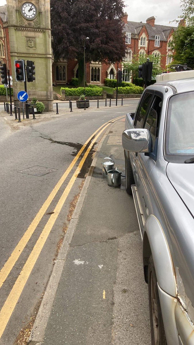 ripon in bloom tweet media