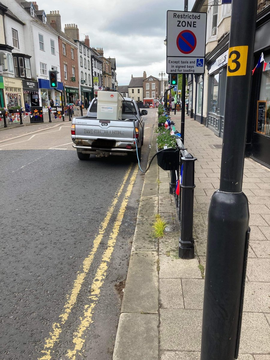 ripon in bloom tweet media