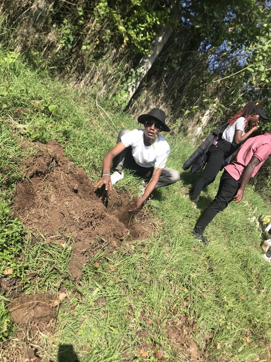 #WorldEnvironmentDay2022