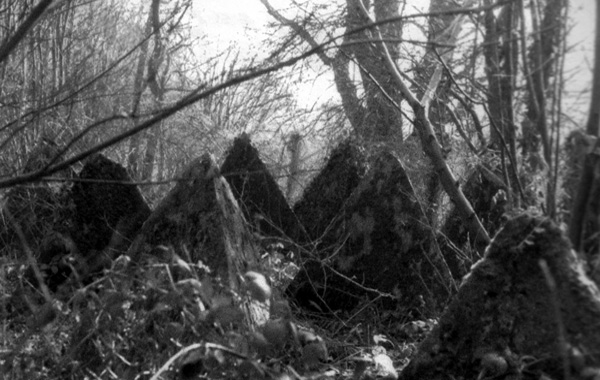 Long-forgotten anti-tanks pyramids hidden in the Kent woods.
#landscapewriting #Historiclandscape #therememberedlandscape #Landscapephotography #Forgottenlandscape #Changinglandscape
