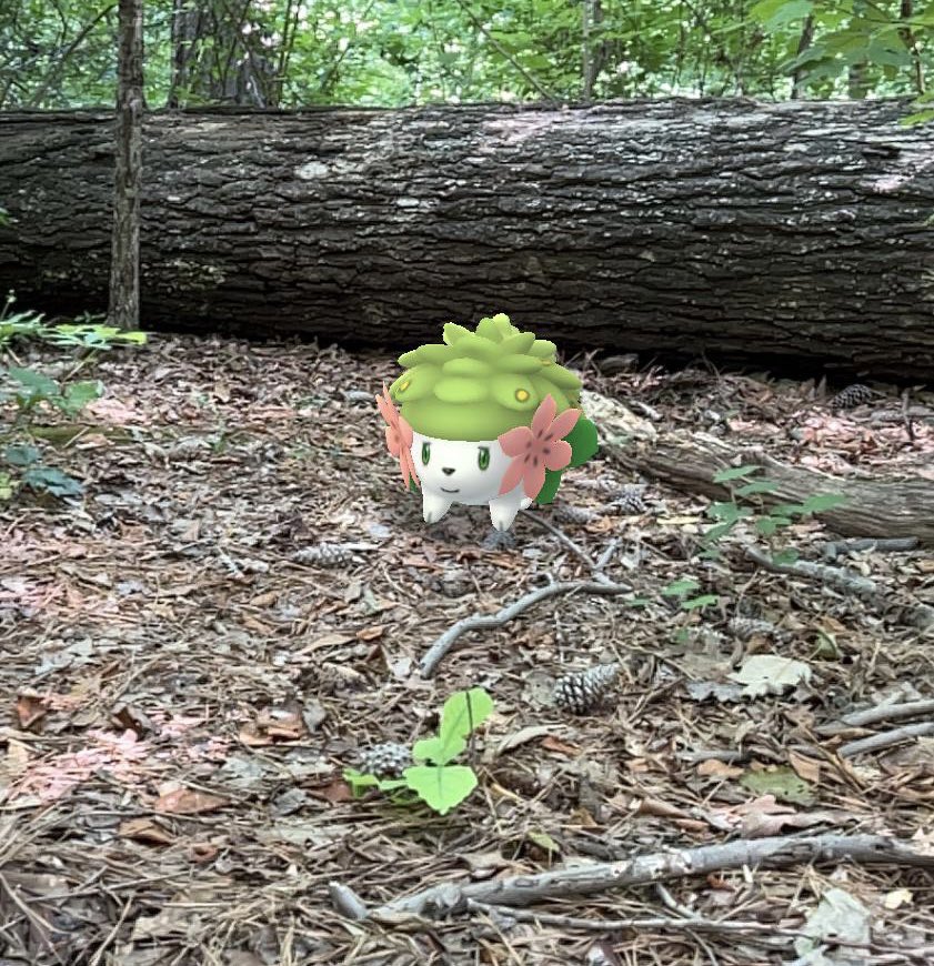 supertoe's tweet image. @pokemongofest2022