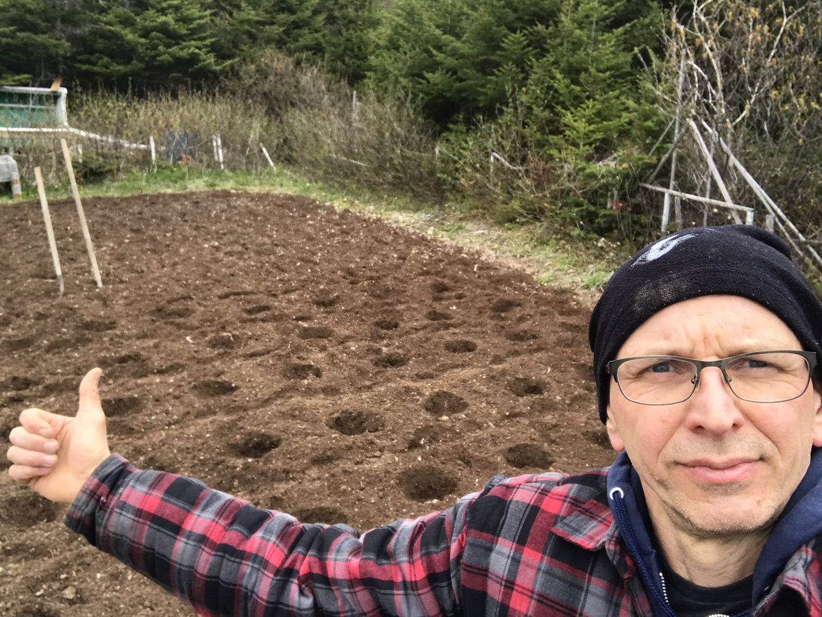 MrGoldsworthy12's tweet photo. Tech teacher with old school gardening skills. At least thereβs no flies #SpudGarden #PortRexton https://t.co/gbHGgkBYH2