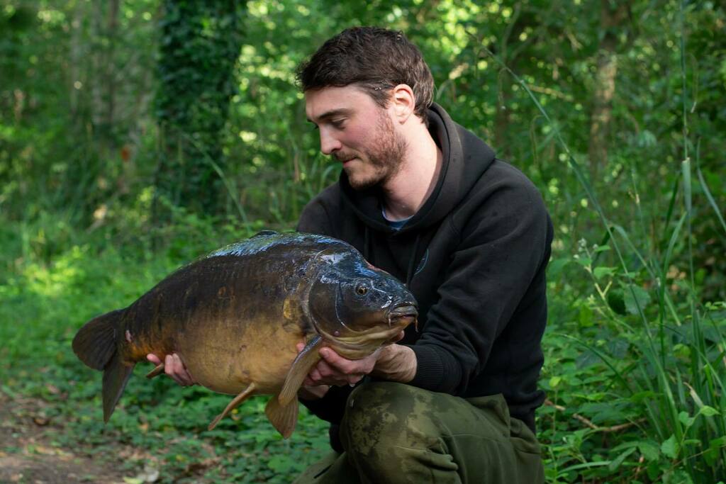 Chris_Meaton's tweet photo. Jubilant weekend 🇬🇧🎣 ‘Cluster’ from Crayfish Pool #carpfishing #crayfishpool #rkleisure #carpywriter https://t.co/DF5O4lvgfB https://t.co/eKmYMIER4o