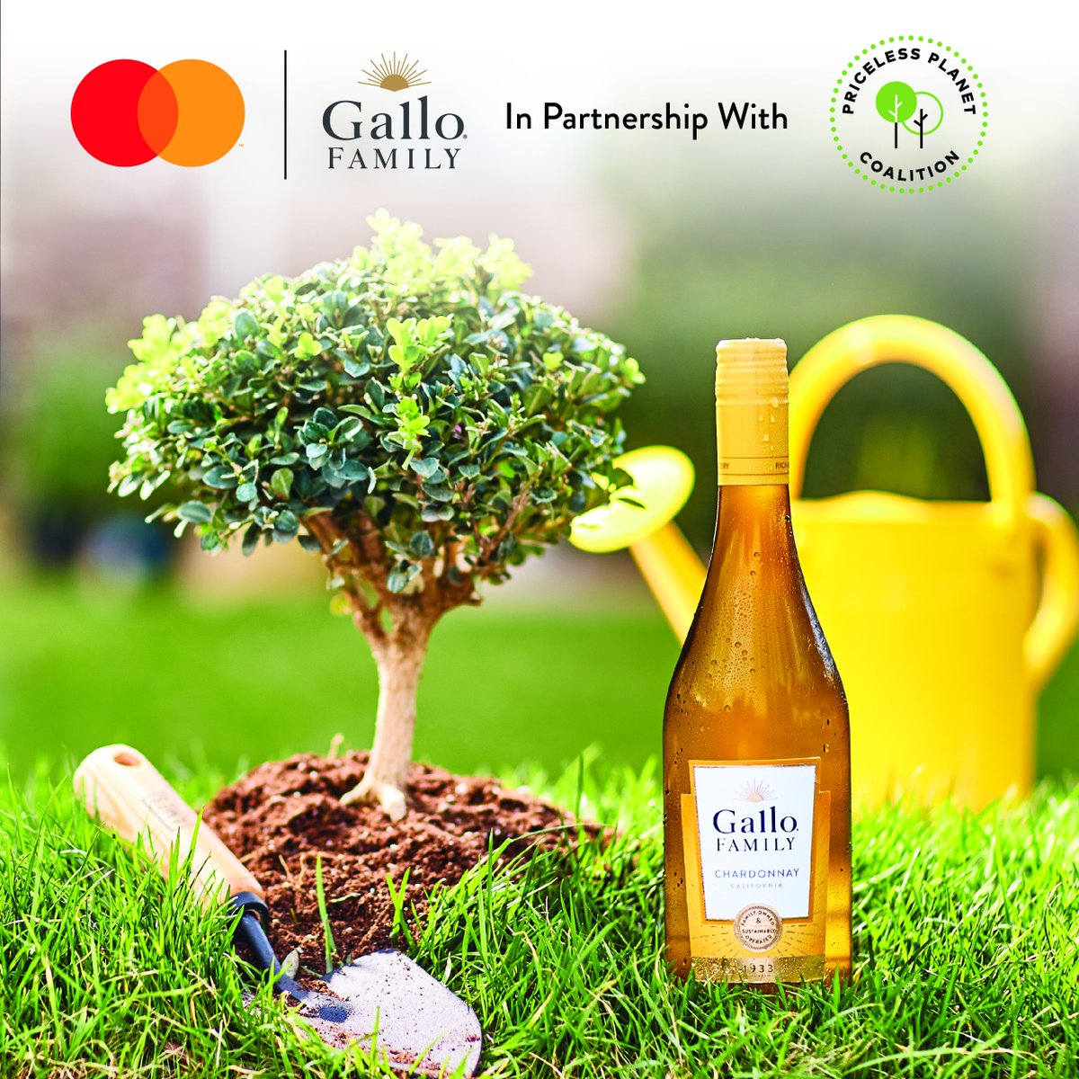 Happy #WorldEnvironmentDay! Your purchase helps support the planting of up to 50,000 trees this year. We have continued to proudly partner with Mastercard Priceless Planet Coalition. Learn more at Gallofamily.com/trees 💚