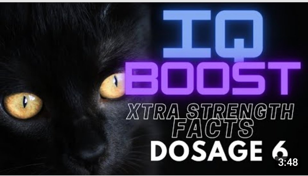 Byll Choudry tweet media