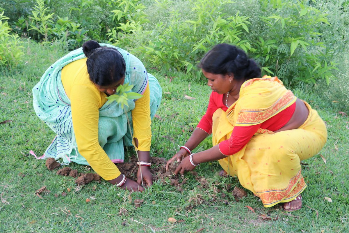 World Environment Day with the promise of planting 100 trees every year. Women leaders from different NGOs came to plant trees. DENY single use plastic and will not allow others in their neighbourhood. #saynotoplastic #PlantTreesSaveEarth #cleanairforeveryone #OnlyOneEarth