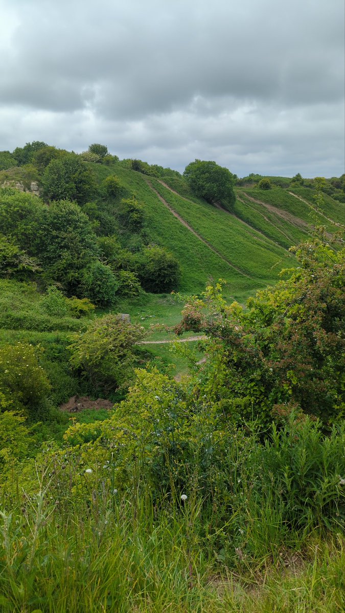 Cain 🌈 tweet media