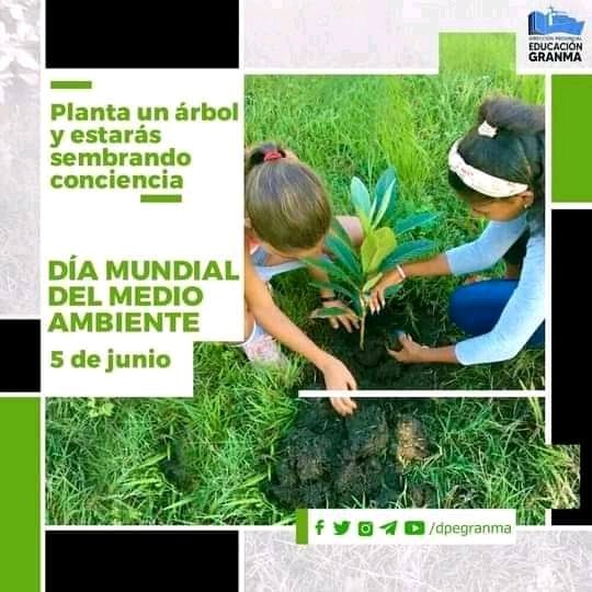 DespachoMagalys's tweet photo. Nuestro Comandante,visionario siempre en sus pronunciamientos en la búsqueda de soluciones para preservar la vida en el planeta...
#DiaMundialDelMedioAmbiente 
#UnaSolaTierra https://t.co/spCrd7uIv7