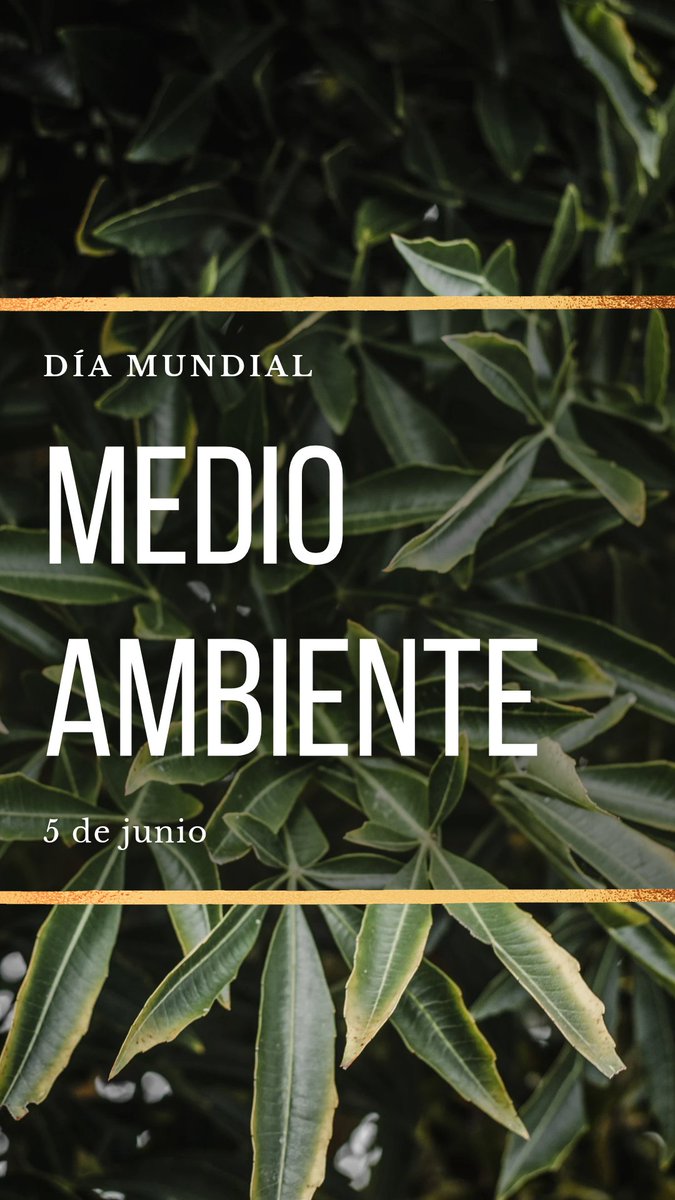 HotelAmericaGR's tweet photo. Desde el hotel América apoyamos el día mundial del Medio Ambiente, para cuidar de nuestro planeta y seguir el mantenimiento de rincones tan bonitos como es el Jardín del Generalife, en la Alhambra. #DiaMundialDelMedioAmbiente 
#HotelAmerica 
#Granada https://t.co/cpBQ33CEOi