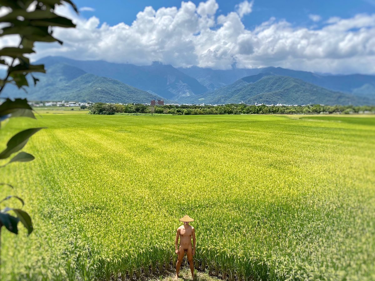 裸時風 tweet media