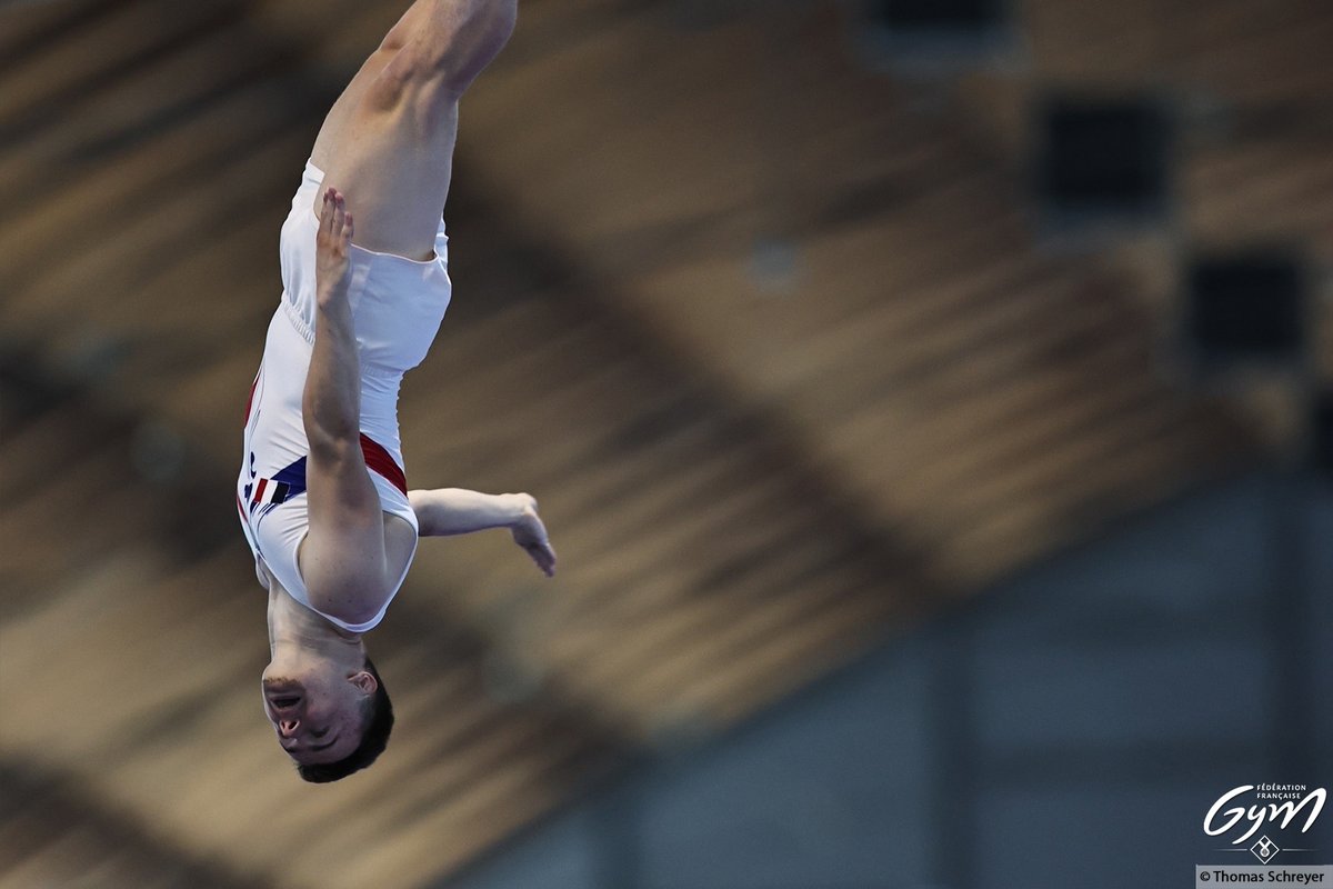 Fédération Française de Gymnastique tweet media