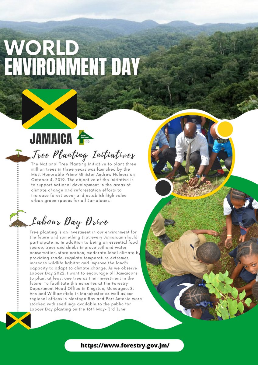 A snapshot of the great work being done by the Forestry Department Jamaica in protecting an ensuring the environment thrives!
#WorldEnvironmentDay #WorldEnvironmentDay2022 #Jamaica #caribbeanenvironment #forrest #trees #treesarelife #oneworld