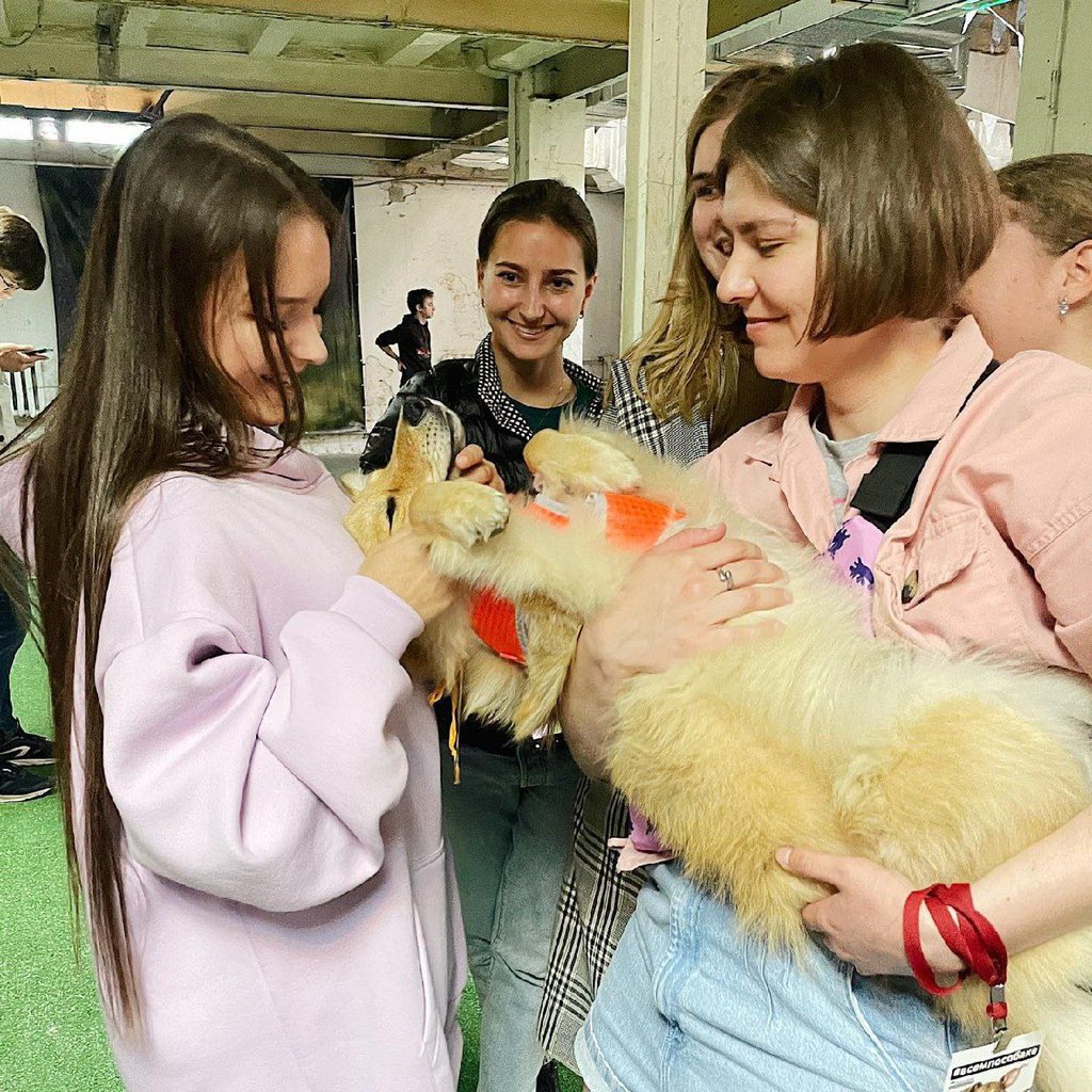 anya’s new dog honey 🤍 congratulations 🥺

#аннащербакова
#annashcherbakova