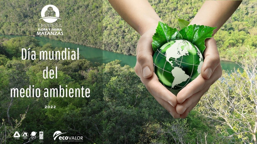 DirAdjFFMtz's tweet photo. Día Mundial del Medio Ambiente. Felicidades a todos los que aportan por la conservación del planeta. 
#FlorayFaunaMtz
#EcovalorMatanzas 
#PNUDCuba
#GEF 
#GeffConservacion https://t.co/MowUrigrCk