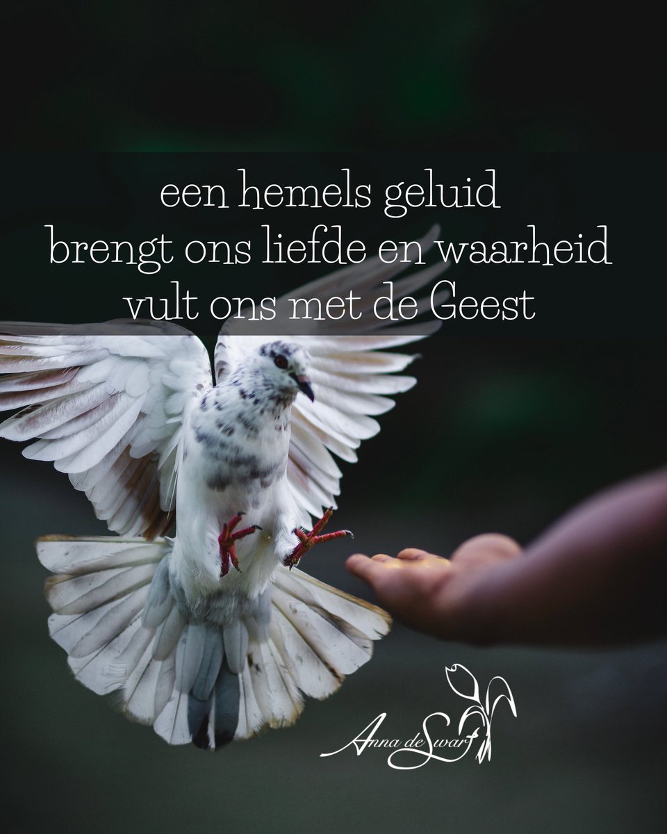 VersjesVanAnna's tweet photo. #Pinksteren
#versjesvanannadeswart
 https://t.co/TcqMk77tBS https://t.co/BqD9UDVEKW