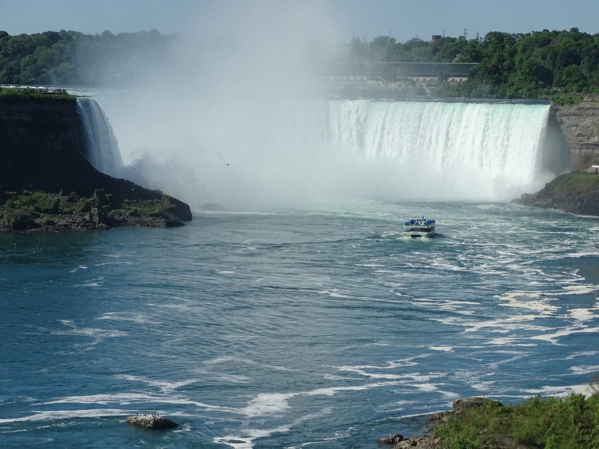 Christophe Stove tweet media