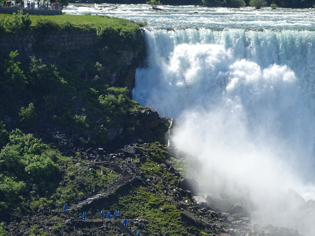 Christophe Stove tweet media