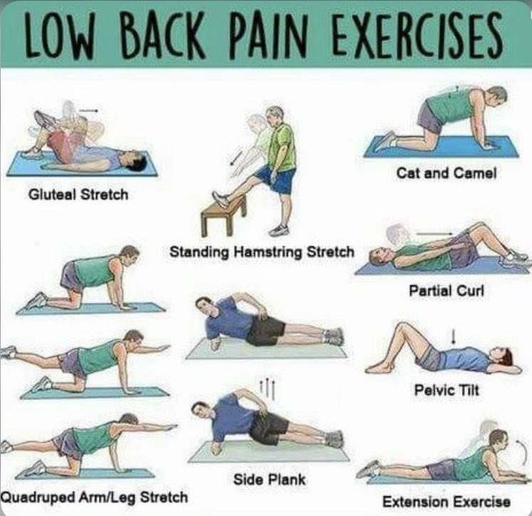 FITNESS AT HOME on X: Do you suffer from lower back pain? Here are a  couple of exercises to help relieve some of the pain.   / X