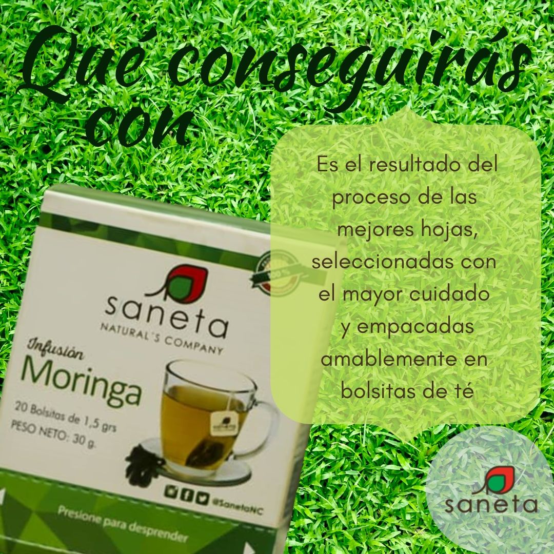 SanetaNC's tweet photo. #Moringa y sus increíbles cualidades!!!

¡Búscala en #Farmatodo! 

#Saneta #AmaLoNatural https://t.co/eP2e56L0yY