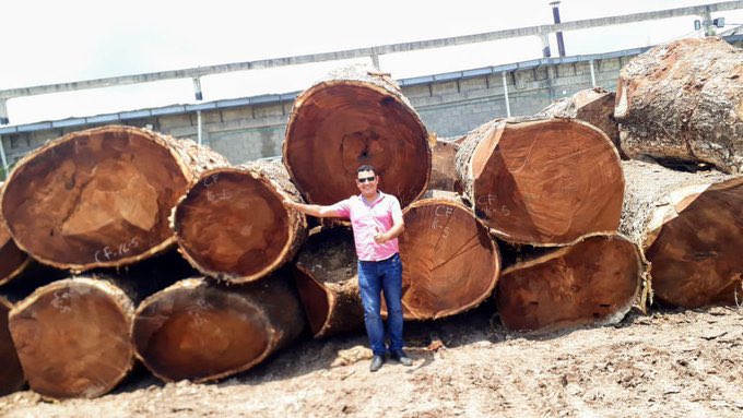 VillaFernando_'s tweet photo. 🔴 URGENTE| Presidente @LassoGuillermo ante sus ojos este crimen ambiental en los bosques de El Chocó ecuatoriano: árboles milenarios, maderas finas, todo un ecosistema devastado por mafias chinas. Atención @GustavoManriq_M https://t.co/yv3z1oKVv3