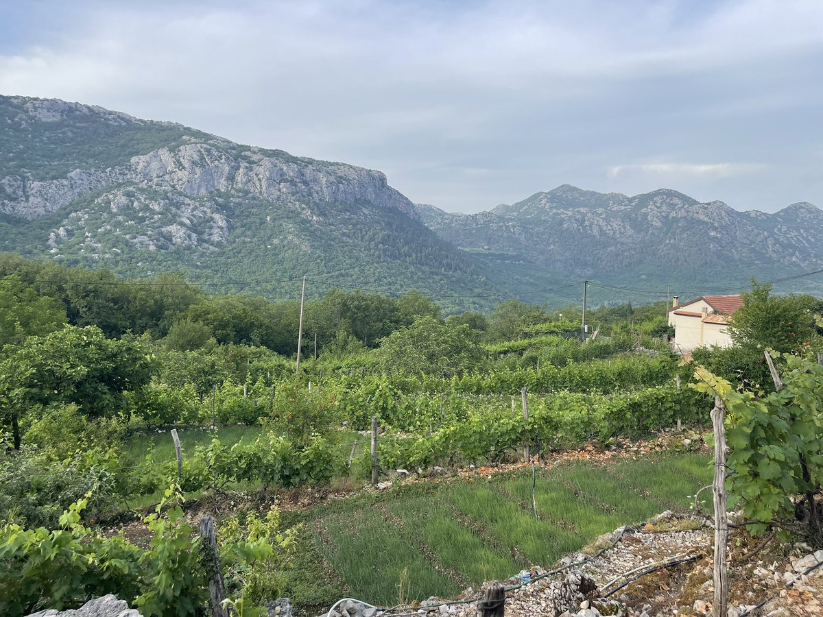 winery_Rakcevic's tweet photo. Prelijepa Crna Goro!
#crmnickanahija #podgor #ovtocici https://t.co/D6uEEJn2b9
