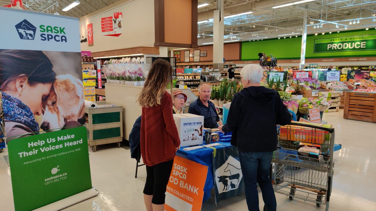 SaskSPCA's tweet photo. Pet Food Week in Saskatchewan has officially kicked off!
If you're in #Saskatoon, come down to Michael's Your Independent Grocer on Wanuskewin Road and say hi to Don & Vivian who are collecting pet food donations until 4pm today!
#PFWinSK #SaskSPCA #SaskPets #PetFood #yxe https://t.co/2ikM4DES7h