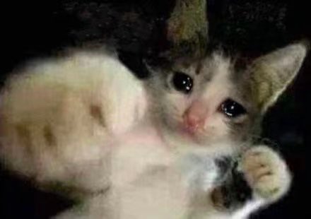 Argiphon tweet media