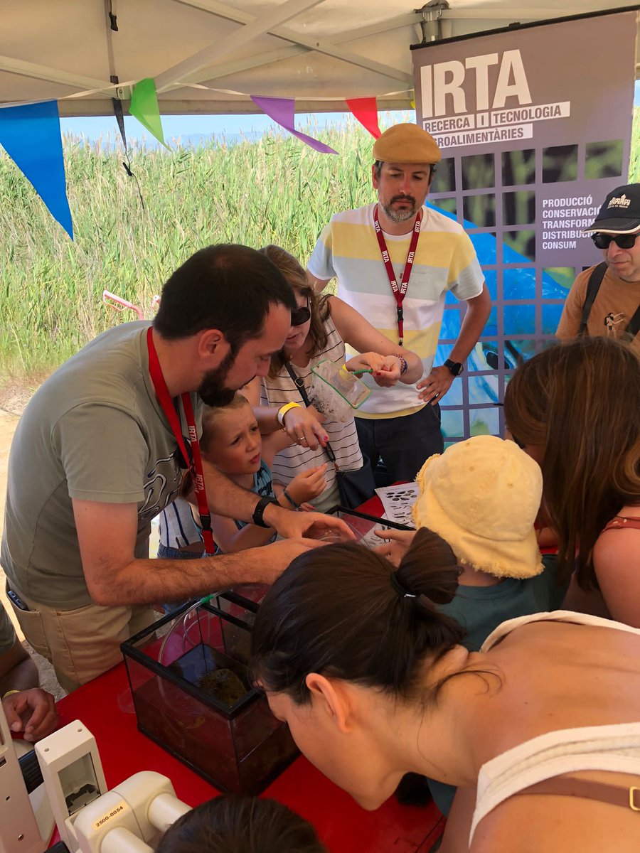 Aquest cap de setmana <a href="/irtacat/">IRTA</a> hem ensenyat als més menuts com de important és la biodiversitat aquàtica a través dels invertebrats—termòmetres de la salut de rius i llacunes 🐚🦟🪳🏞 

Gràcies per invitarmos! MonNatura @PedreraFundacio Delta de l’Ebre