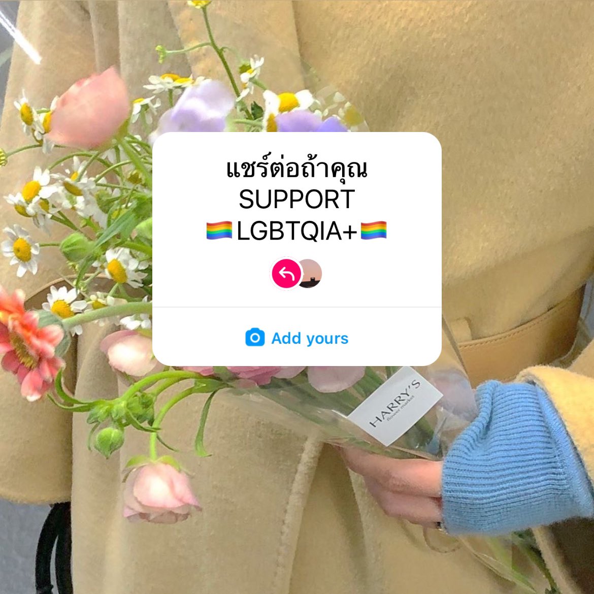 รีทวิตถ้าคุณซัพพอร์ท #สมรสเท่าเทียม 🫶🏻🏳️‍🌈