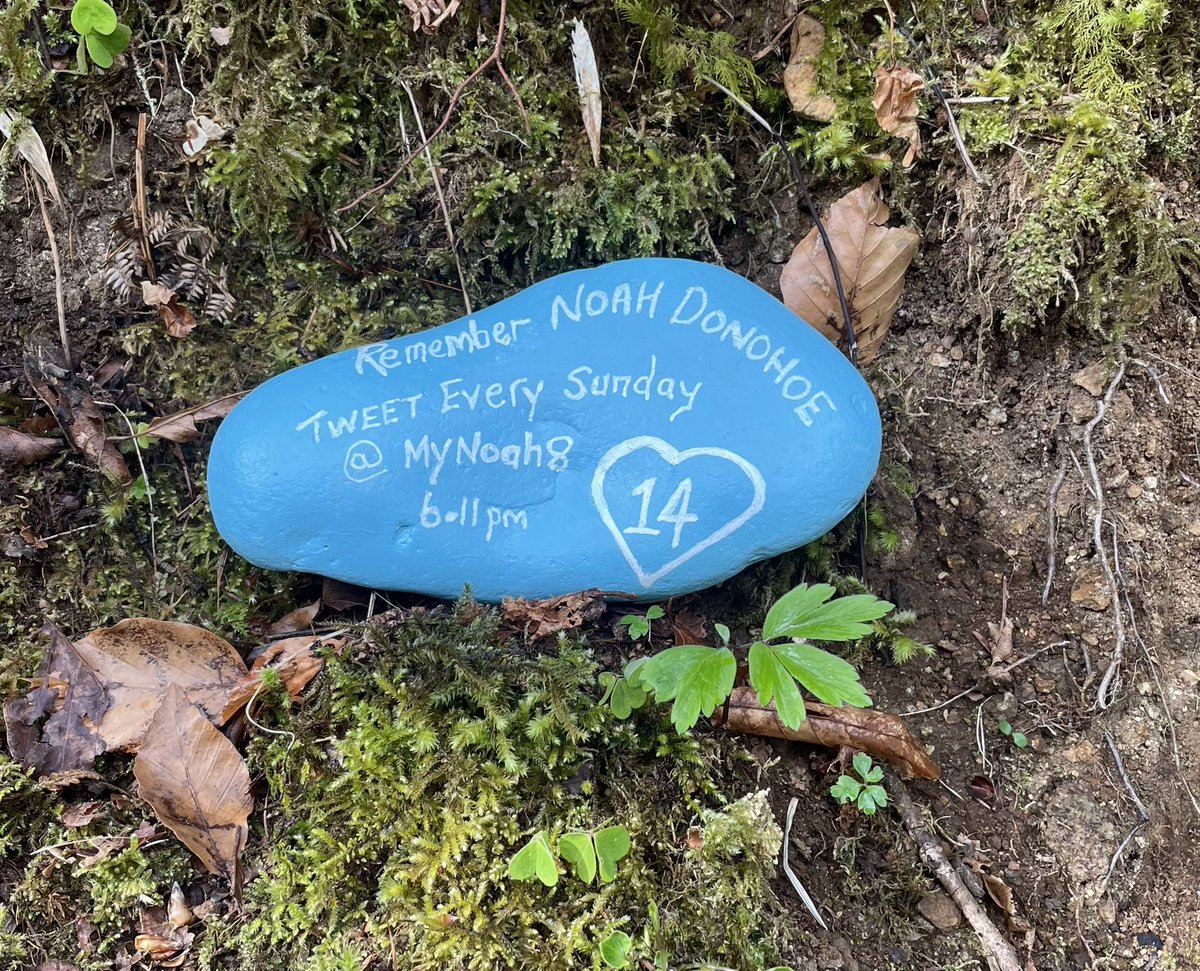 rogan_brendan's tweet photo. #JusticeForNoahDonohoe
#Week101
#NoahsArmy
#RememberMyNoah
#NoToPII https://t.co/EfmIOA8aYd