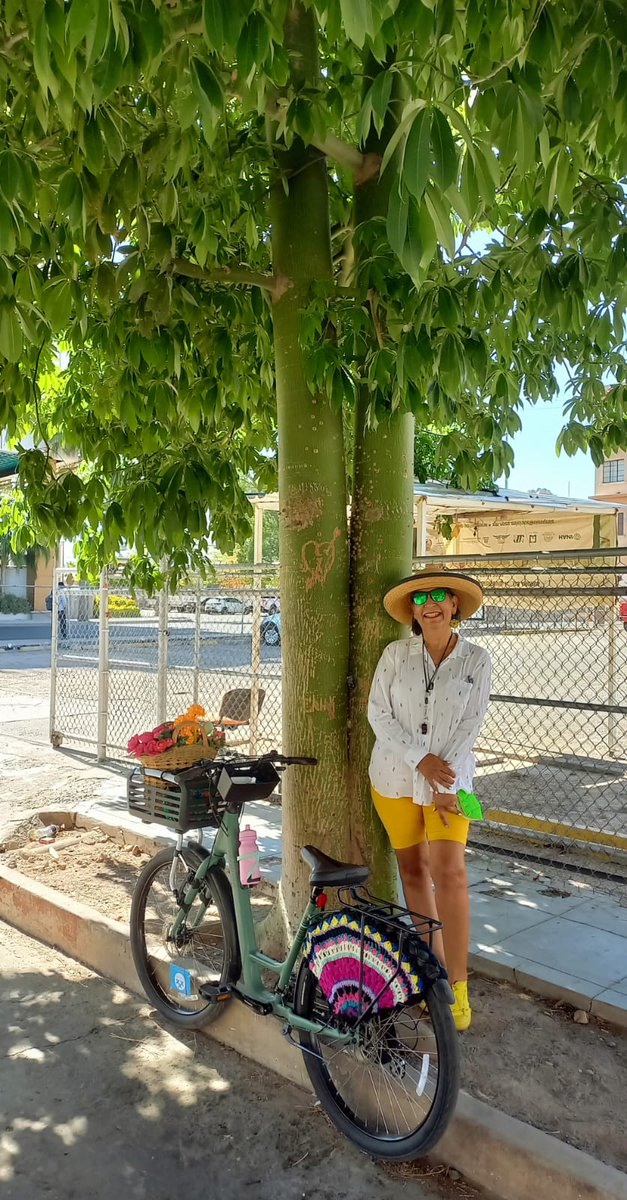 lamange1's tweet photo. #DiaMundialDelMedioAmbiente #UnaSolaTierra 🌳💚 Usa la bicicleta, bájale a la contaminación #MujerEnBiciHmo 🚲✌♀️👒💚 https://t.co/zgXakioLlA
