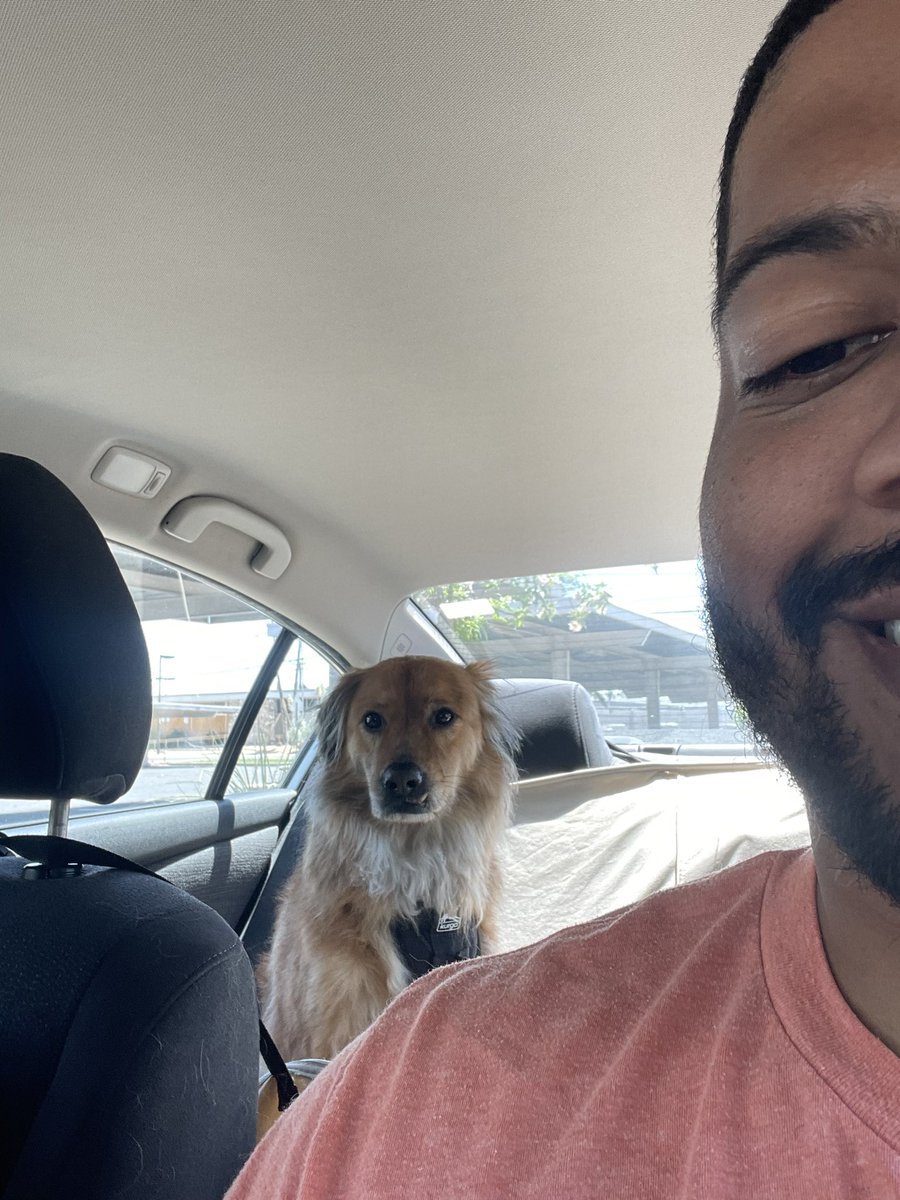 SBIATL's tweet photo. @kesokold And my dogs https://t.co/EoMUVu6UBW