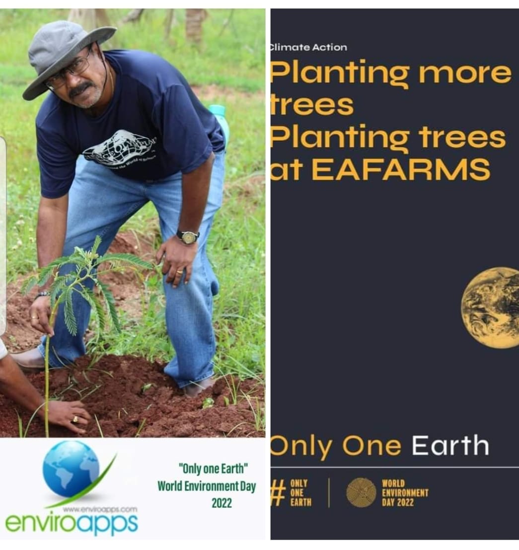 enviroapps's tweet photo. https://t.co/wJveeDoSHZ #enviroapps #eafarms #plantingmoretrees https://t.co/OuwJkSCDp2