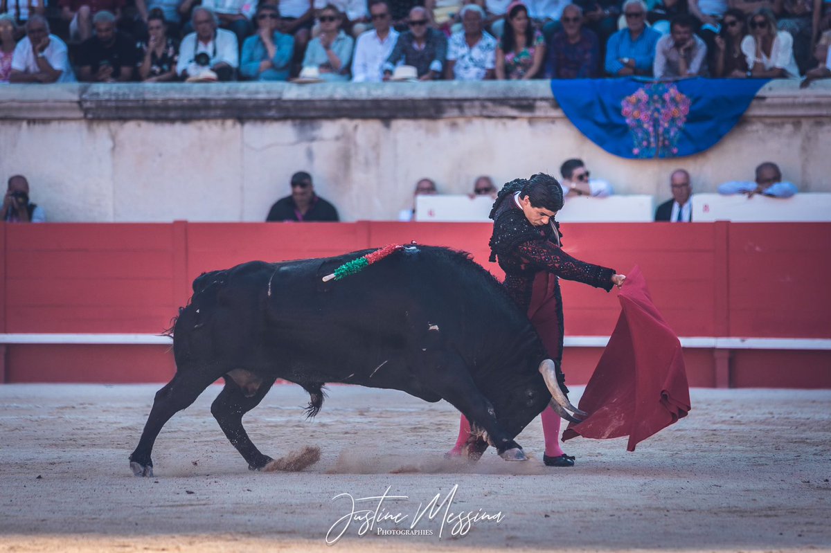 #Nîmes 🇫🇷 3️⃣ | Silencio para Pablo Aguado con el primero de su lote. Pitos en arrastre para el toro de Vegahermosa.

📸 <a href="/Justine_Messina/">Justine Messina</a>