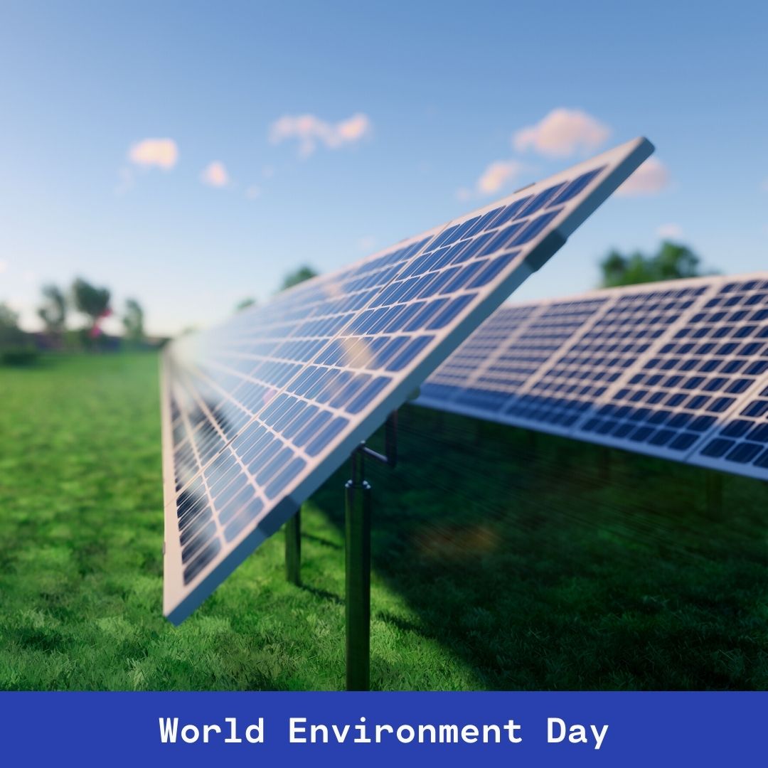 Today we celebrate our planet! What #sustainable changes are your making this year? ♻️🌎 #WorldEnvironmentDay