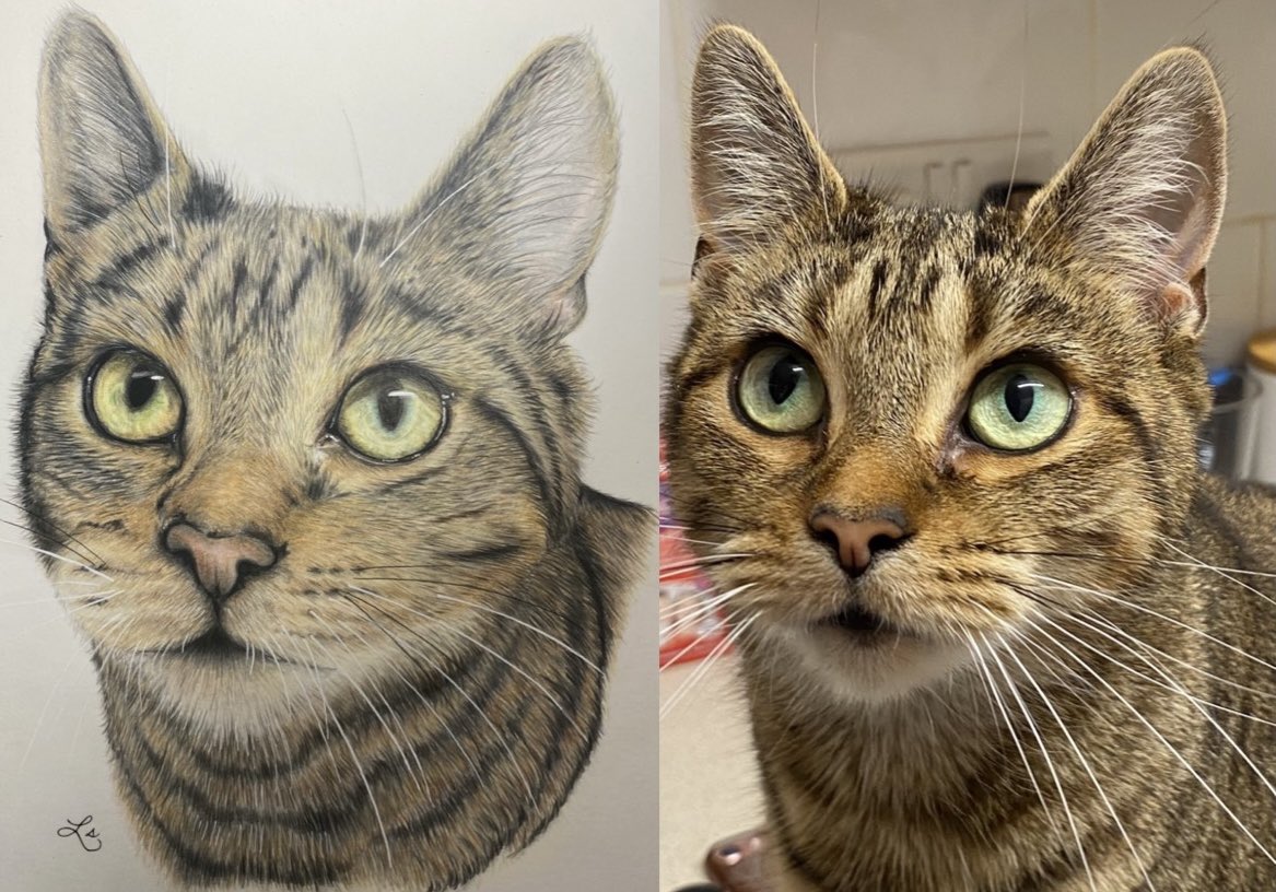 studio_1505's tweet photo. @TheoPaphitis  Hi Theo, I am a pet portrait artist and have a passion for creating adorable realistic drawings of my clients treasured pets. I would like to be part of the #SBS network community to help expand my ideas further. https://t.co/liVfdg58lW https://t.co/j9WB0ltl8k