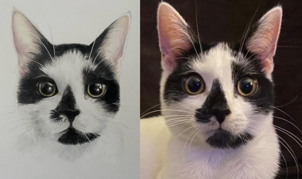 studio_1505's tweet photo. @TheoPaphitis  Hi Theo, I am a pet portrait artist and have a passion for creating adorable realistic drawings of my clients treasured pets. I would like to be part of the #SBS network community to help expand my ideas further. https://t.co/liVfdg58lW https://t.co/j9WB0ltl8k