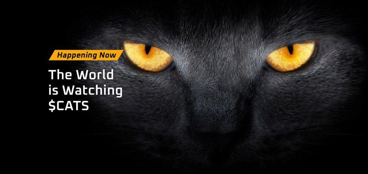 SmartInvestor95's tweet photo. @Catcoinbsc @okx Meeeeoow #catcoinbsc https://t.co/M6RKsd6gp9