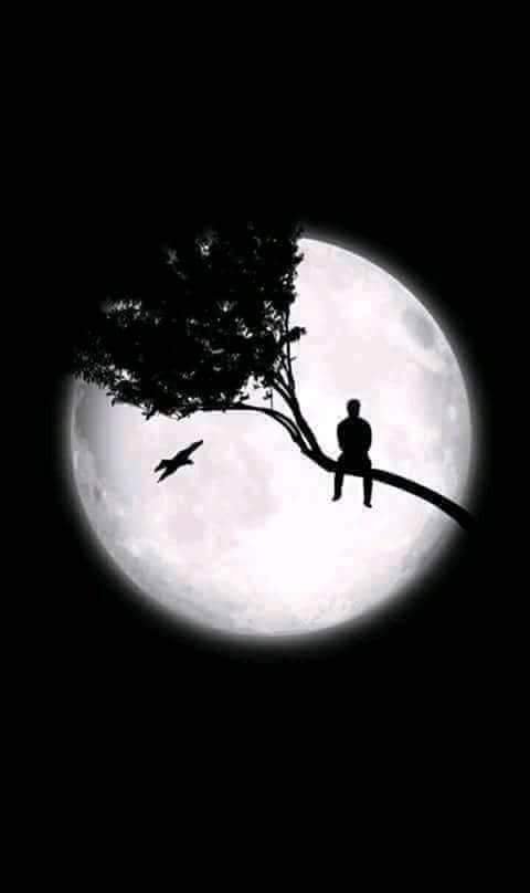 XM_21O's tweet photo. I need to be a little alone because I can no longer carry more weights

#words #sadwords #happywords #forentertainment #stories https://t.co/q7ju7siF9W