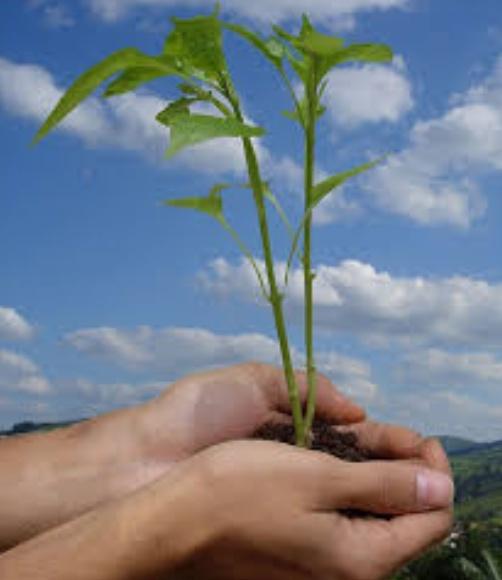 SGeneralsc's tweet photo. #Junio09 En nuestras manos y en las tuyas está asegurar el futuro de las generaciones venideras y las de tus propios hijos e hijas, por lo que Produce una inmensa tristeza pensar que la naturaleza habla mientras el género humano no la escucha Día Mundial del Medio Ambiente. https://t.co/Owcm0Btl2t