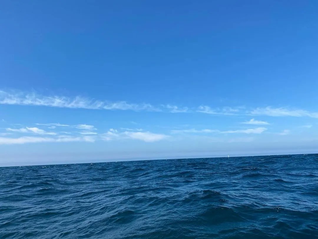 Check out these awesome photos by Angela - Cullen Sea School’s sailing instructor.

It was a great day for a sail in our Devon yawl. Sun, wind and a seal came to say hello.

We'd love to teach you how to sail. Find out more at cullenseaschool.co.uk

📸 Angela Hunter