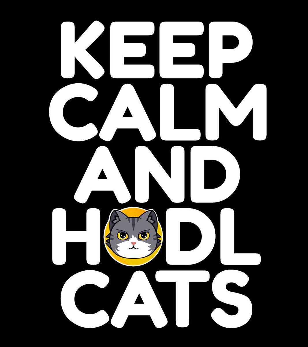 tylercrypto21's tweet photo. @bitcoinlfgo @kingflokiaire @Catcoinbsc @BscPitbull @ImpactXPToken @Marvin_Inu @CheemsInu This is the way @Catcoinbsc #catcoin https://t.co/VDg16K3lKJ
