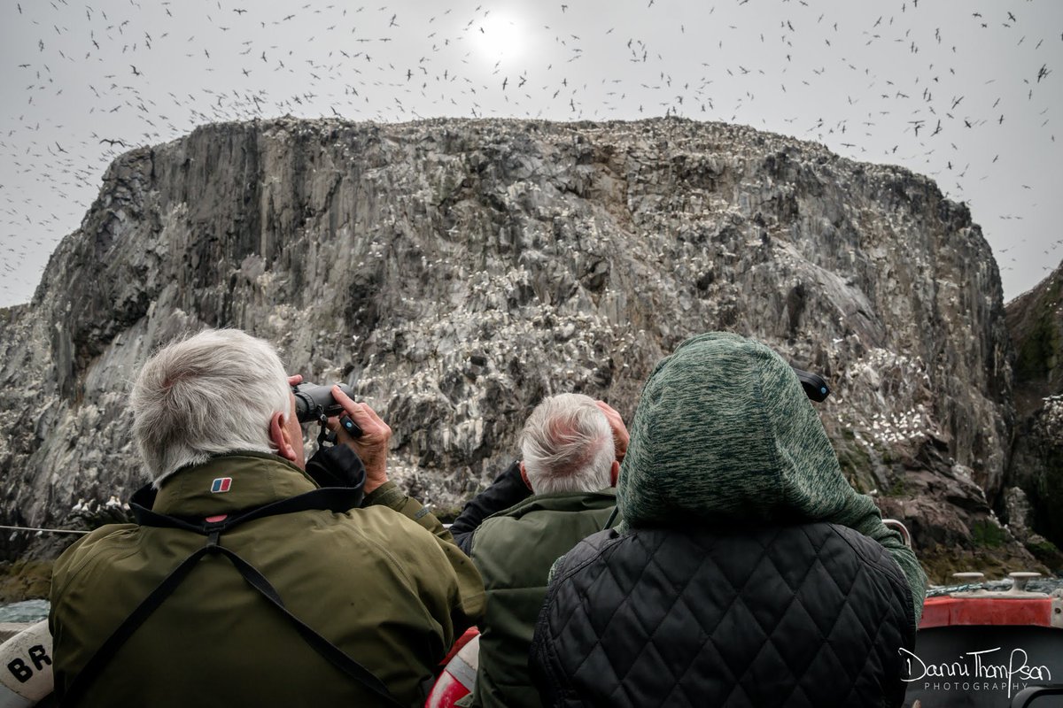 JNCC_UKseabirds's tweet photo. To the #censusLegends who have helped count colonies for #SeabirdsCount; to all who monitor seabirds for the #SMP & to those who sail the seas surveying for #VSAS - THANK YOU. Each bird counted helps us to better understand our important populations.
#VolunteersWeek https://t.co/y6TySPREcG