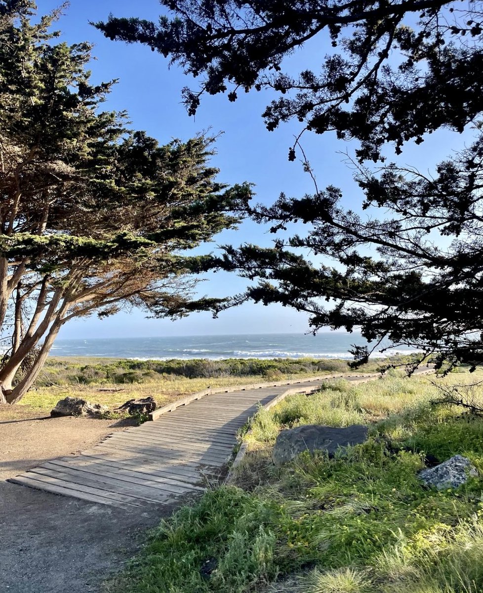 Visit Cambria tweet media